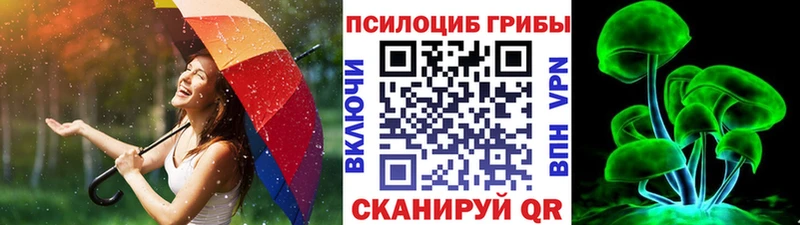 Галлюциногенные грибы Cubensis  сколько стоит  Ясный 