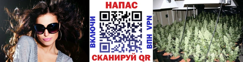 Шишки марихуана VHQ  хочу наркоту  мега ONION  Ясный 